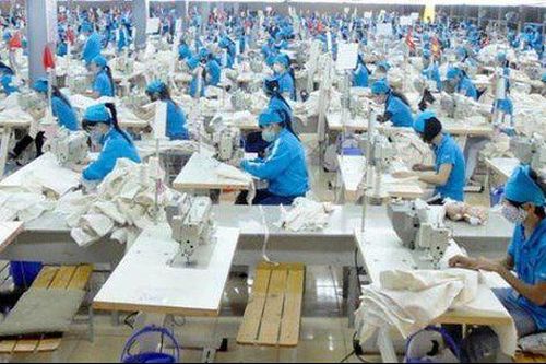 Gilimex lỗ nặng trước thềm vụ kiện với Amazon, cổ phiếu tăng gần 20% trong 3 ngày