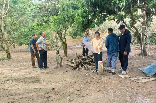 Khắc phục khó khăn, đẩy nhanh tiến độ dự án