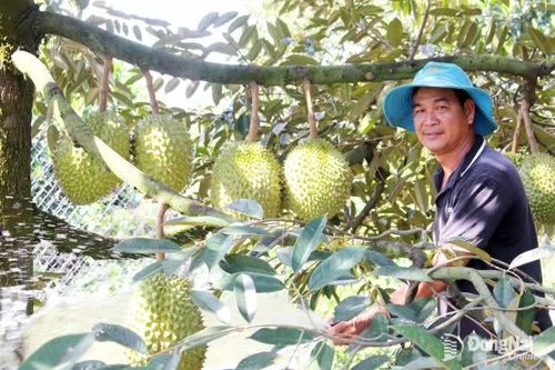 Bảo vệ môi trường trong sản xuất nông nghiệp