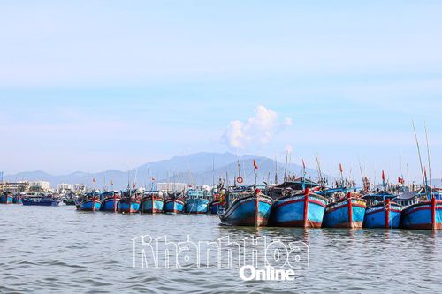 Nhiều tàu câu cá ngừ đại dương nằm bờ