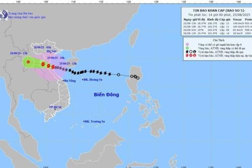 Bão số 5 khá dị thường, dễ gây tâm lý chủ quan