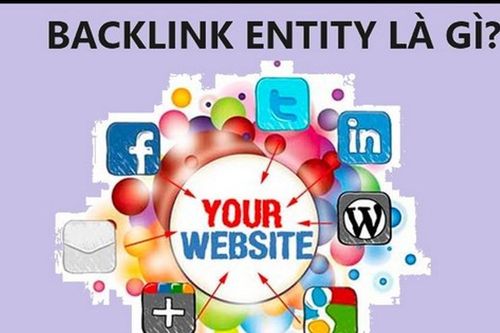 Đánh giá hiệu quả của Backlink Entity