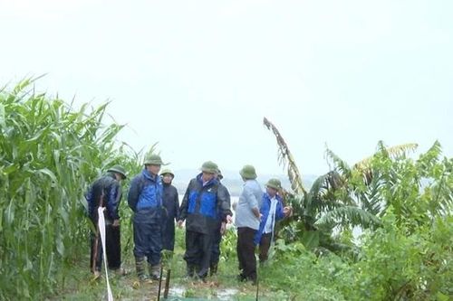 Tổ chức cắm biển cảnh báo sạt lở tại bờ sông Đà, xã Tu Vũ