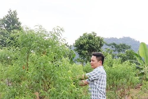 Đổi thay ở Kim Bắc
