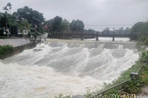 Thiệt hại do bão số 5 trên địa bàn tỉnh: Ước tính ban đầu khoảng 1 tỷ đồng