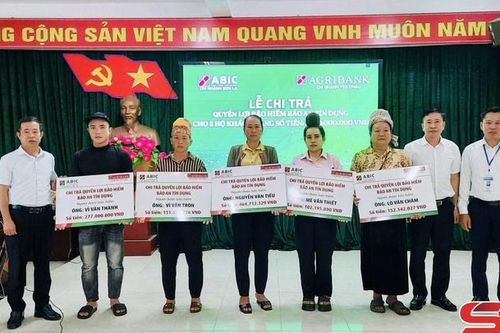 Chi trả quyền lợi bảo hiểm bảo an tín dụng