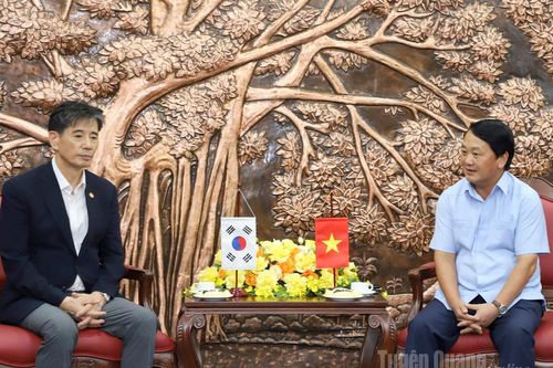 Bí thư Tỉnh ủy Hầu A Lềnh tiếp xã giao Hiệp hội Kinh tế và Văn hóa Hàn - Việt