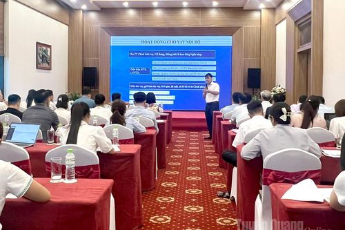 Tập huấn nâng cao năng lực cho hợp tác xã nông nghiệp