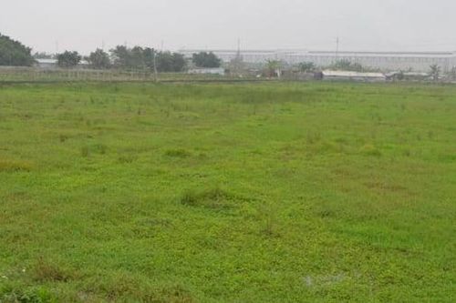 Đề nghị không miễn thuế đất nông nghiệp được giao nhưng bỏ hoang