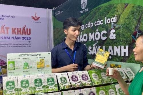 Tăng trưởng xuất khẩu của Hà Nội:Sức bật mạnh mẽ từ doanh nghiệp nội địa