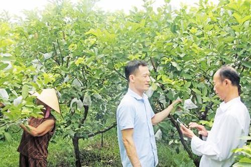 Chìa khóa làm giàu nhìn từ những miền quê 'trắng hộ nghèo' ở Bắc Ninh