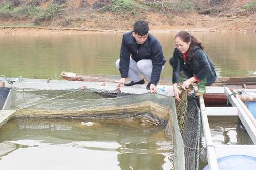 Nông thôn mới giàu bản sắc ở Lào Cai