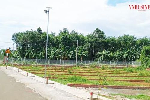 'Chôn vốn bạc tỷ' vì găm đất nông nghiệp, hết tiền làm sổ đỏ