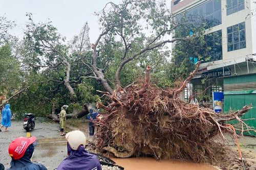 Sức tàn phá khủng khiếp của bão số 5 đổ bộ vào Nghệ An