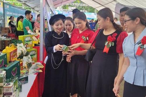 Qua những miền Di sản Việt Bắc 2025: Điểm hẹn văn hóa - du lịch tại Cao Bằng