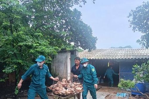 Xã Đoài Phương: Khu đồi Giếng bị sạt lở dài 30m