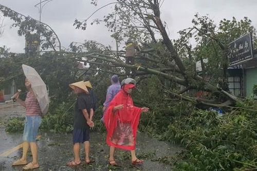 Bão số 5 tàn phá Hà Tĩnh, 10 người thương vong, hàng nghìn ngôi nhà hư hại