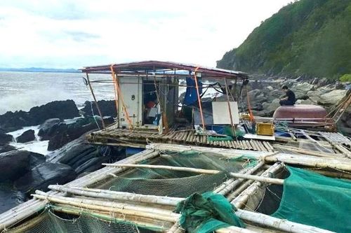 Quảng Trị: Sau bão, nhiều người nuôi thủy sản trên vịnh Hòn La trắng tay