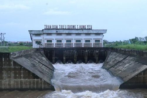 Hưng Yên: Hơn 1.100ha lúa bị ngập úng do hoàn lưu bão số 5
