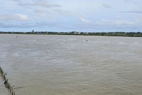 Thanh Hóa: Nước sông Bưởi, sông Cầu Chày đang lên