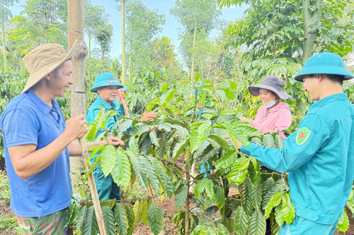Đắk Lắk phát huy hào khí Cách mạng Tháng Tám, bứt phá trong kỷ nguyên mới