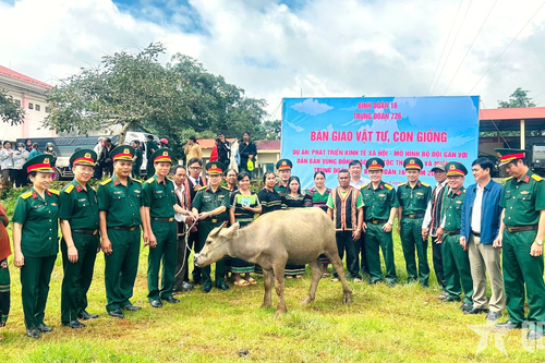 Trung đoàn 726 (Binh đoàn 16) trao trâu, bò giống sinh sản tặng đồng bào dân tộc thiểu số