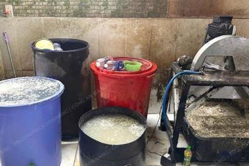 'Tắm trắng' hoa chuối bằng hóa chất