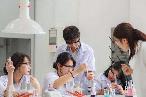 Giáo dục chuyển từ đổi mới căn bản, toàn diện sang phát triển đột phá
