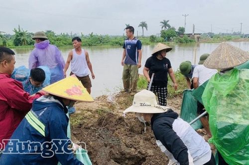 Hưng Yên: Kịp thời xử lý ngập úng và khắc phục sự cố vỡ kè sông Bần - Vũ Xá