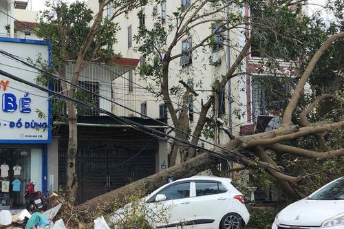 Thủ tướng chỉ đạo nhanh chóng khắc phục hậu quả bão số 5