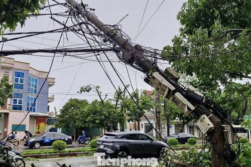 Nhiều cột điện ở Nghệ An gãy đổ sau bão số 5