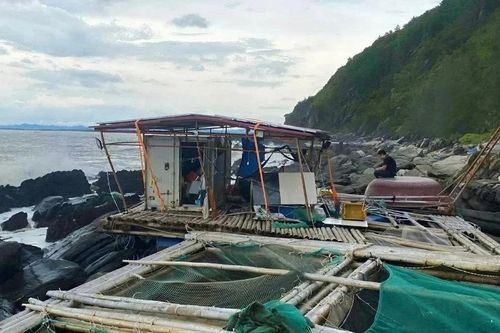 Ngư dân khóc ròng trước cảnh lồng bè nuôi cá ở vịnh Hòn La hư hại sau bão số 5