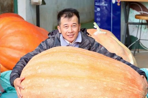 Nhiều người kéo nhau đi xem quả bí ngô siêu to khổng lồ ở Đà Lạt