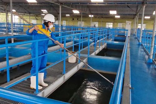 Nghệ An: Sau bão số 5, hàng nghìn người dân vẫn chưa có nước sử dụng