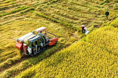 '80 năm qua, nông dân là người vẽ nên con đường đổi mới của đất nước'