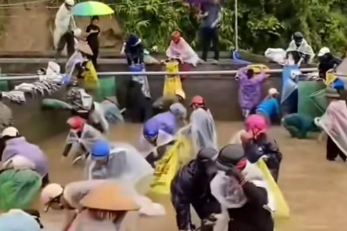 Nữ chủ trại nói sự thật về thông tin cả chục người nhảy xuống bể 'hôi của' cá tầm