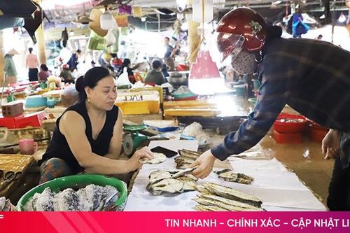 Sau bão, giá thịt cá ổn định, rau xanh tăng nhẹ