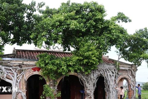 Những nét độc đáo, cổ kính của ngôi đình có một không hai ở Đồng Tháp