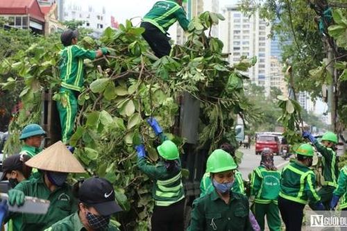 Nghệ An căng mình xử lý lượng rác 'khổng lồ' sau bão
