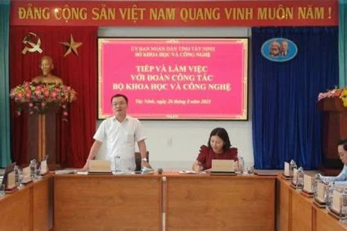 Tây Ninh: Khó khăn triển khai chính quyền hai cấp vì thiếu nhân lực chuyển đổi số