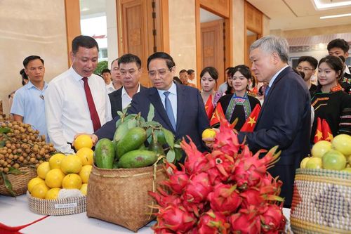 Ấn tượng sản phẩm OCOP Sơn La tại Hội nghị tổng kết Chương trình xóa nhà tạm, nhà dột nát
