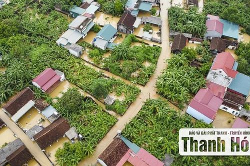 Hàng trăm ngôi nhà ở Hà Trung chìm trong nước, dân sơ tán đồ đạc, vật nuôi lên đê tránh lũ