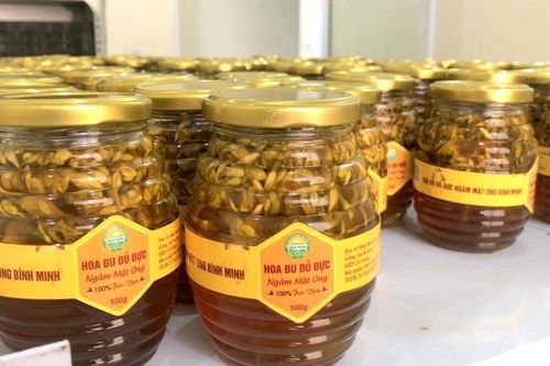 Xuất khẩu 'chính ngạch' và chế biến sâu: Hướng đi bền vững của tỉnh Tuyên Quang