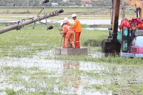 1,6 triệu khách hàng đã được cấp điện trở lại