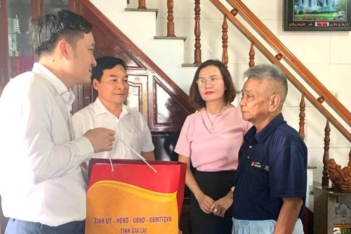 Phó Chủ tịch UBND tỉnh Nguyễn Tuấn Anh thăm, tặng quà gia đình người có công ở xã Tuy Phước Tây