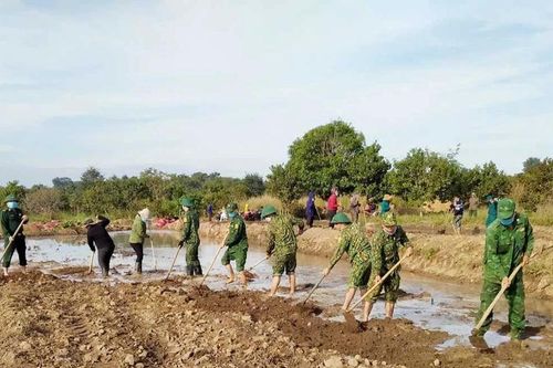 Xây thế trận lòng dân từ mô hình trồng lúa nước