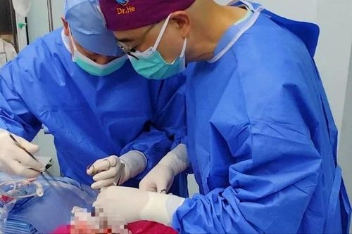 Lần đầu tiên cấy ghép thành công phổi lợn biến đổi gen vào cơ thể người