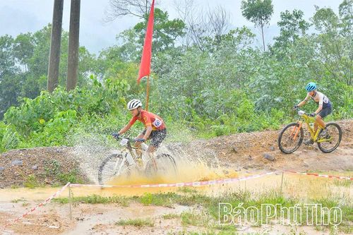 Đoàn Phú Thọ tiếp tục giành 3 Huy chương Bạc, 1 Huy chương đồng