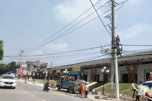 Minh bạch thông tin về quản lý, sử dụng điện