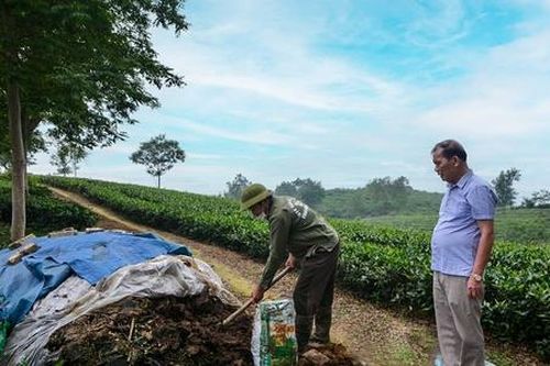 Biến rác thành 'vàng', HTX nâng tầm kinh tế xanh và giảm nghèo bền vững